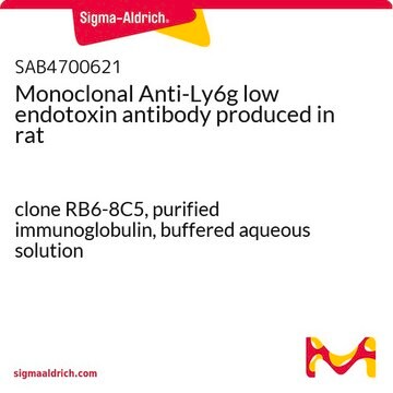 Monoclonal Anti-Ly6g low endotoxin antibody produced in rat clone RB6-8C5, purified immunoglobulin, buffered aqueous solution