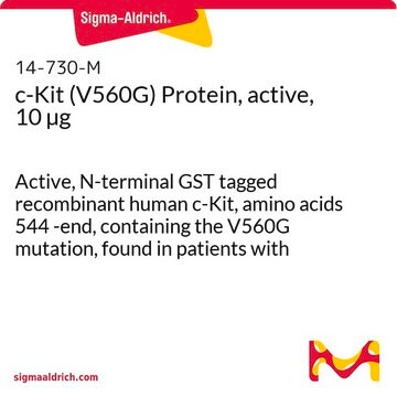 c-Kit (V560G) Protein, active, 10 &#181;g Active, N-terminal GST tagged recombinant human c-Kit, amino acids 544 -end, containing the V560G mutation, found in patients with gastrointestinal stromal tumours. For use in Kinase Assays.