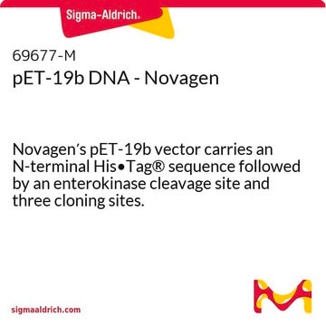 pET-19b DNA - Novagen Novagen&#8242;s pET-19b vector carries an N-terminal His&#8226;Tag&#174; sequence followed by an enterokinase cleavage site and three cloning sites.