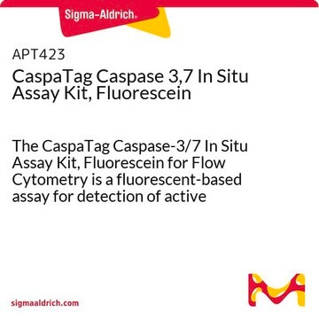 CaspaTag Caspase 3,7 In Situ Assay Kit, Fluorescein The CaspaTag Caspase-3/7 In Situ Assay Kit, Fluorescein for Flow Cytometry is a fluorescent-based assay for detection of active caspase-3 or caspase-7 in cells undergoing apoptosis.