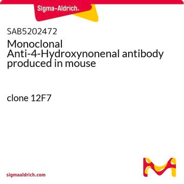 Monoclonal Anti-4-Hydroxynonenal antibody produced in mouse clone 12F7