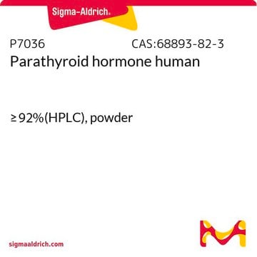 Parathyroid hormone human &#8805;92% (HPLC), powder