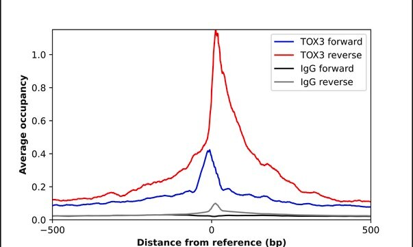 Anti-TOX3 antibody produced in rabbit Prestige Antibodies&#174; Powered by Atlas Antibodies, affinity isolated antibody, buffered aqueous glycerol solution