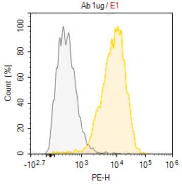 Anti-C5aR1/CD88 Antibody, clone P12/1