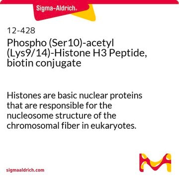 Phospho (Ser10)-acetyl (Lys9/14)-Histone H3 Peptide, biotin conjugate Histones are basic nuclear proteins that are responsible for the nucleosome structure of the chromosomal fiber in eukaryotes.