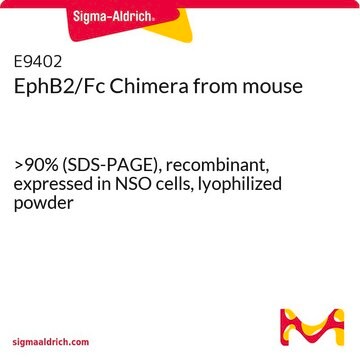 EphB2/Fc Chimera from mouse &gt;90% (SDS-PAGE), recombinant, expressed in NSO cells, lyophilized powder