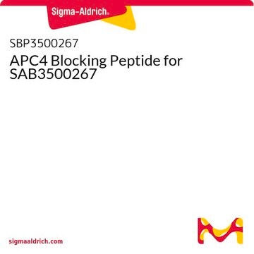 APC4 Blocking Peptide for SAB3500267