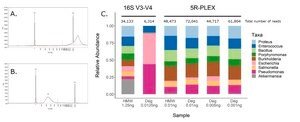 5R-Plex kit Ultra-sensitive 16S NGS assay for degraded and low biomass DNA