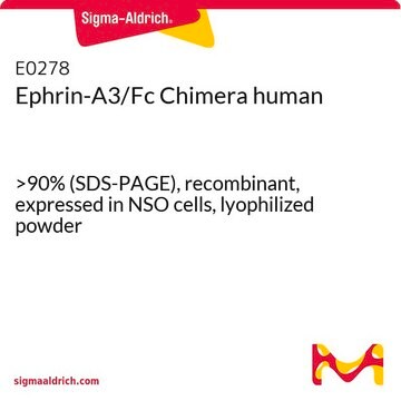 Ephrin-A3/Fc Chimera human &gt;90% (SDS-PAGE), recombinant, expressed in NSO cells, lyophilized powder