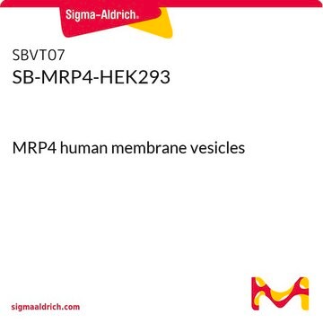 SB-MRP4-HEK293 MRP4 human membrane vesicles