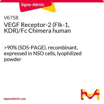 VEGF Receptor-2 (Flk-1, KDR)/Fc Chimera human &gt;90% (SDS-PAGE), recombinant, expressed in NSO cells, lyophilized powder