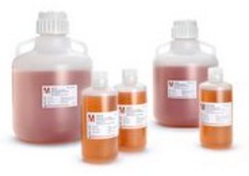 Anti-B (clone LB-2), FFMU Anti-B from the clone LB-2, Murine IgM, Intermediate for further manufacturing use