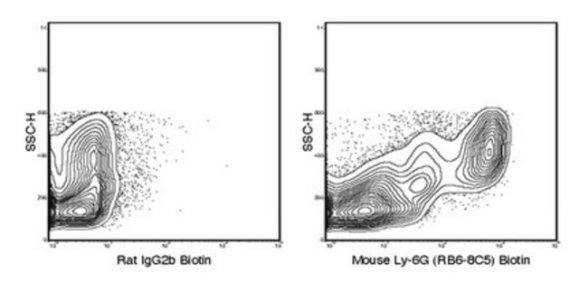 Anti-Ly-6G (mouse), clone RB6-8C5, biotin conjugate Antibody clone RB6-8C5, from rat, purified by affinity chromatography