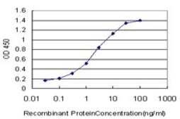 Monoclonal Anti-PPARD antibody produced in mouse clone 1G4, purified immunoglobulin, buffered aqueous solution