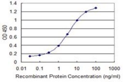 Monoclonal Anti-SLC6A11 antibody produced in mouse clone 2C3, purified immunoglobulin, buffered aqueous solution