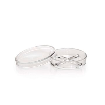 Duran&#174; Petri Dish Four-Sectional, H × diam. 100&#160;mm × 20&#160;mm