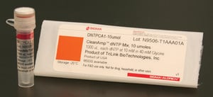CleanAmp&#8482; dNTP Hot-start dNTP mix for improved PCR