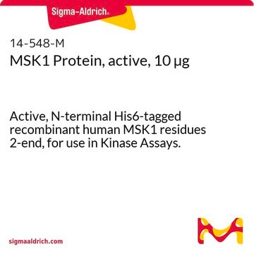 MSK1 Protein, active, 10 &#181;g Active, N-terminal His6-tagged recombinant human MSK1 residues 2-end, for use in Kinase Assays.