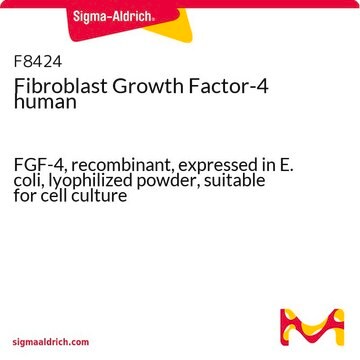 Fibroblast Growth Factor-4 human FGF-4, recombinant, expressed in E. coli, lyophilized powder, suitable for cell culture