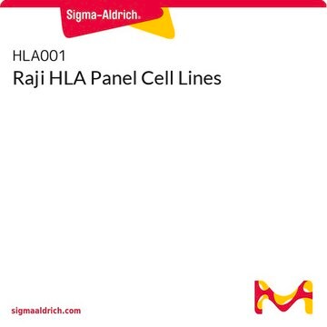 Raji HLA Panel Cell Lines