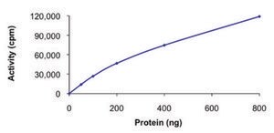 EIF2AK3 (563-1115), active, GST tagged human PRECISIO&#174; Kinase, recombinant, expressed in E. coli, &#8805;70% (SDS-PAGE), buffered aqueous glycerol solution