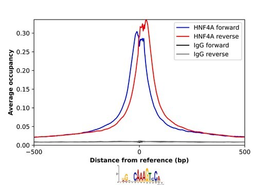 Anti-HNF4A antibody produced in rabbit Prestige Antibodies&#174; Powered by Atlas Antibodies, affinity isolated antibody, buffered aqueous glycerol solution