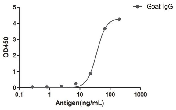 Alpaca Anti-Goat IgG(Fc&#947;) HRP single domain Antibody recombinant Alpaca(VHH) Nano antibody