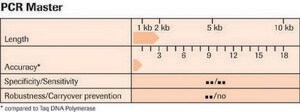PCR Master (50 &#956;l final reaction volume each containing 2.5 U Taq DNA-Polymerase), sufficient for 200&#160;reactions, kit of 1 (2 components), suitable for PCR