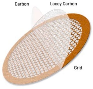 Continuous Ultrathin Carbon Film Coated Lacey Carbon Supported Copper Grid grid size 200&#160;mesh, box of 25