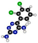 Lamotrigine &#8805;98%, powder