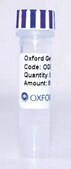 PSF-OXB20 - STRONG BACTERIAL PROMOTER PLASMID plasmid vector for molecular cloning