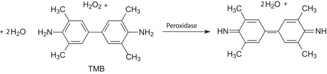 3,3&#8242;,5,5&#8242;-Tetramethylbenzidine standard for GC