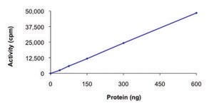 SLK, active, GST tagged human PRECISIO&#174; Kinase, recombinant, expressed in baculovirus infected Sf9 cells, &#8805;70% (SDS-PAGE), buffered aqueous glycerol solution