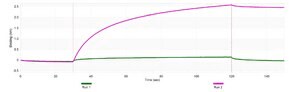 Anti-VAChT Antibody, clone 1J10 ZooMAb&#174; Rabbit Monoclonal recombinant, expressed in HEK 293 cells