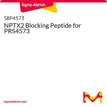 NPTX2 Blocking Peptide for PRS4573