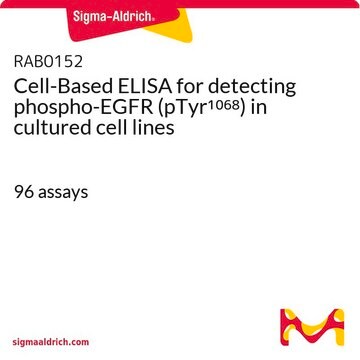 Cell-Based ELISA for detecting phospho-EGFR (pTyr1068) in cultured cell lines 96&#160;assays