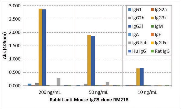 Anti-Mouse IgG3 antibody, Rabbit monoclonal recombinant, expressed in HEK 293 cells, clone RM218, purified immunoglobulin