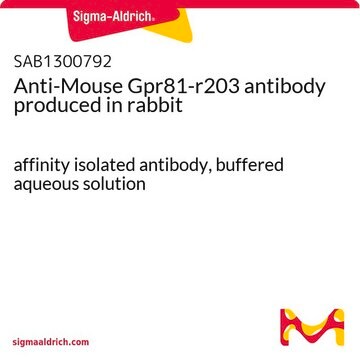 Anti-Mouse Gpr81-r203 antibody produced in rabbit affinity isolated antibody, buffered aqueous solution