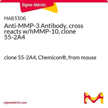 Anti-MMP-3 Antibody, cross reacts w/hMMP-10, clone 55-2A4 clone 55-2A4, Chemicon&#174;, from mouse