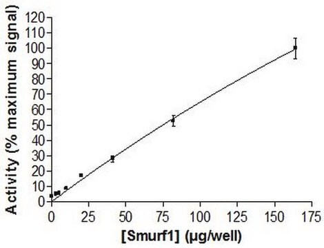 Smurf1, active