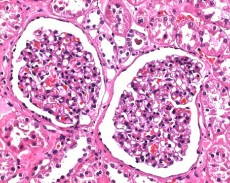 Formaldehyde solution 4%, buffered, pH 6.9 (approx. 10% Formalin solution) for histology