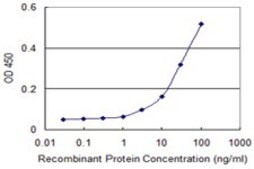 Monoclonal Anti-RXRB antibody produced in mouse clone 2E6, purified immunoglobulin, buffered aqueous solution