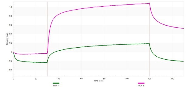 Anti-Podocalyxin Antibody, clone 1E13 ZooMAb&#174; Rabbit Monoclonal recombinant, expressed in HEK 293 cells