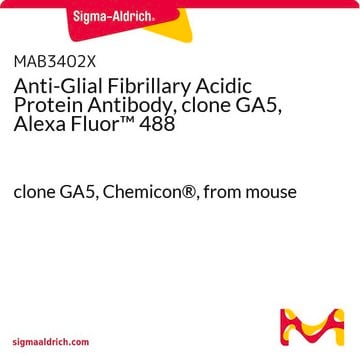 Anti-Glial Fibrillary Acidic Protein Antibody, clone GA5, Alexa Fluor&#8482; 488 clone GA5, Chemicon&#174;, from mouse