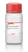 Collagen from bovine achilles tendon powder, suitable for substrate for collagenase