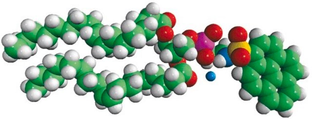 18:1 Pyrene PE Avanti Research&#8482; - A Croda Brand 810331P, powder