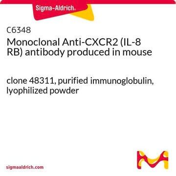 Monoclonal Anti-CXCR2 (IL-8 RB) antibody produced in mouse clone 48311, purified immunoglobulin, lyophilized powder