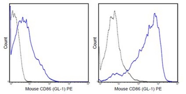 Anti-CD86 (B7-2) Antibody (mouse), PE, clone GL-1 clone GL-1 (GL1), 0.2&#160;mg/mL, from rat