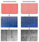 Cell Comb&#8482; Scratch Assay