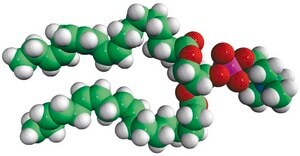 18:3 (Cis) PC Avanti Research&#8482; - A Croda Brand 850395C